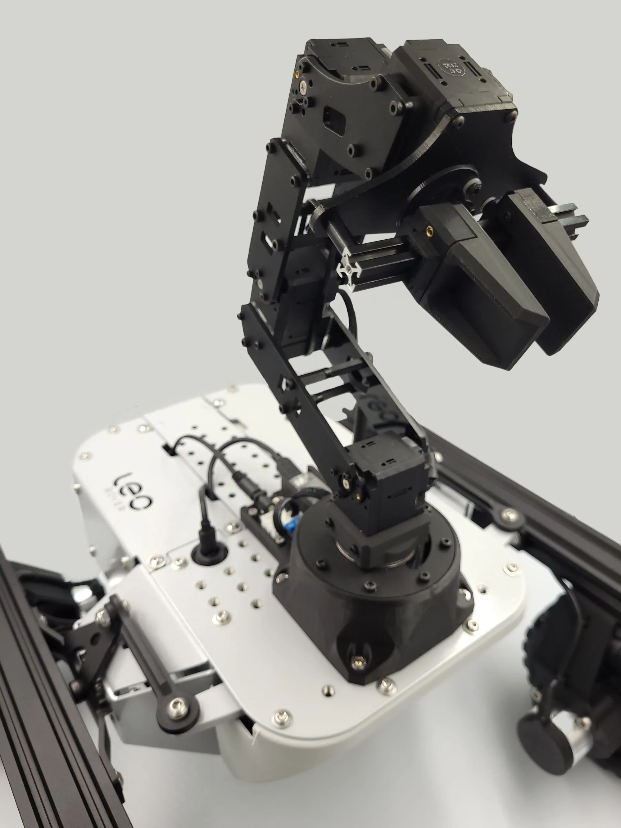 PincherX 100 mobile mounted on Leo Rover